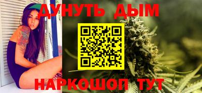 сатива Славгород
