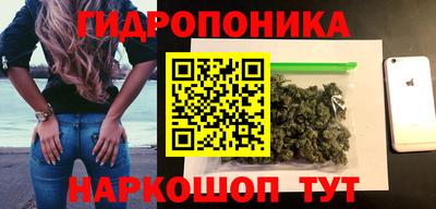 сатива Славгород