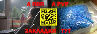 сатива Славгород