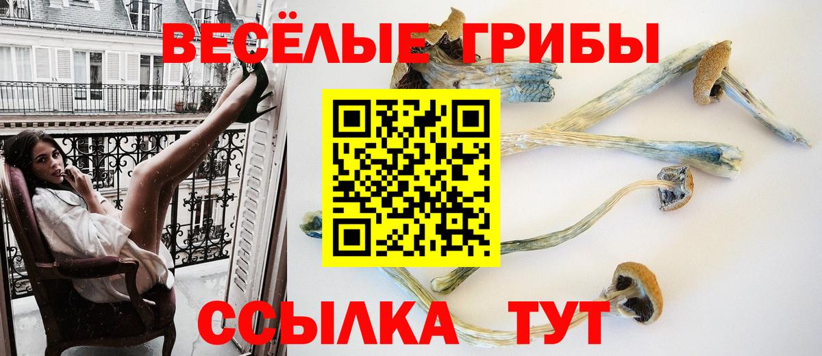 Галлюциногенные грибы Magic Shrooms Новочеркасск