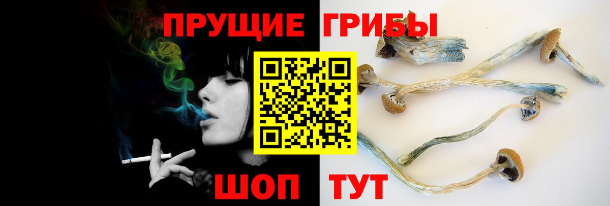 Псилоцибиновые грибы мицелий  Псилоцибиновые грибы Cubensis  Вход с VPN  Новочеркасск 